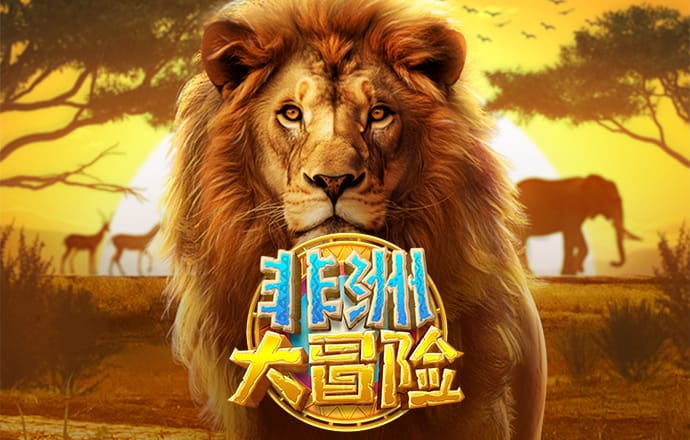 金年华体育平台官网下载